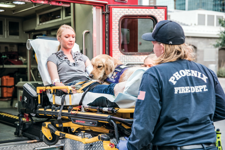 EMS Transport of Service Dogs & Support Animals
